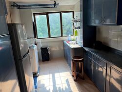 Blk 43 Telok Blangah Rise (Bukit Merah), HDB 3 Rooms #622163611